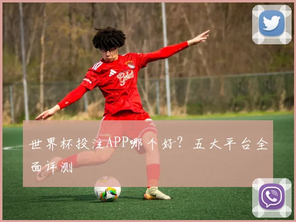 世界杯投注APP哪个好?五大平台全面评测