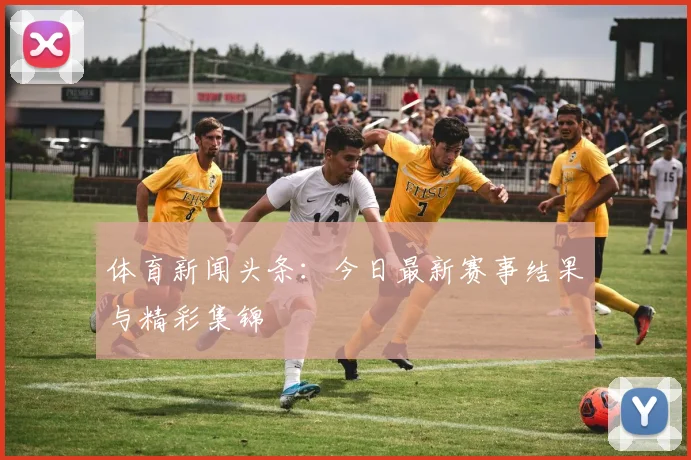 体育新闻头条：今日最新赛事结果与精彩集锦