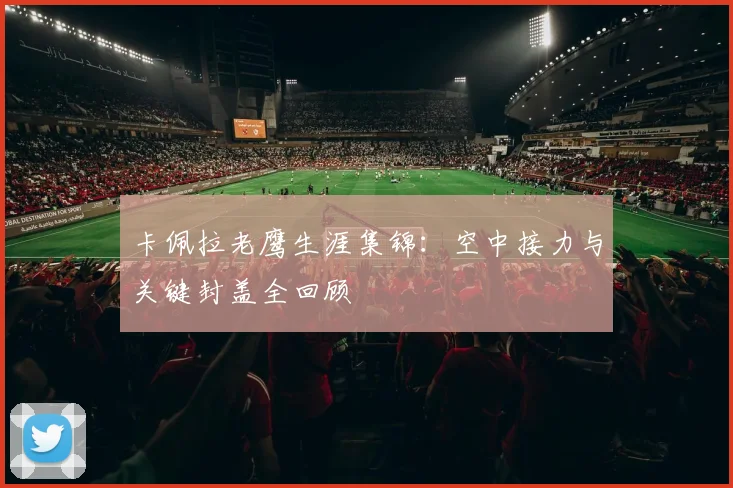 卡佩拉老鹰生涯集锦:空中接力与关键封盖全回顾