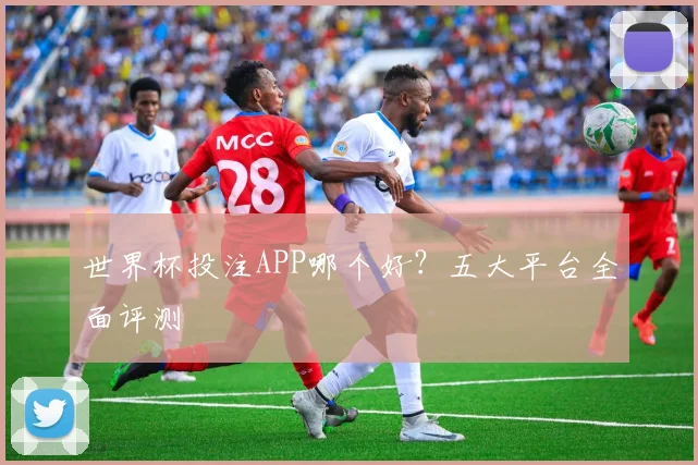 世界杯投注APP哪个好？五大平台全面评测